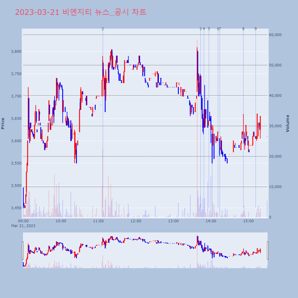비엔지티_뉴스공시차트