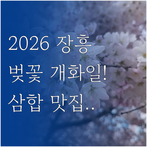 장흥 벚꽃 여행 2026년 개화 일정..