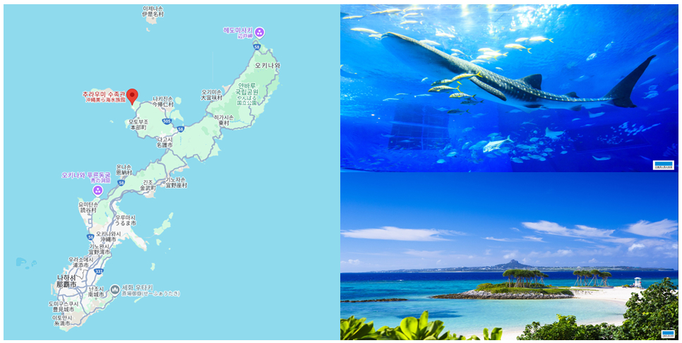 츄라우미 수족관 위치 및 사진