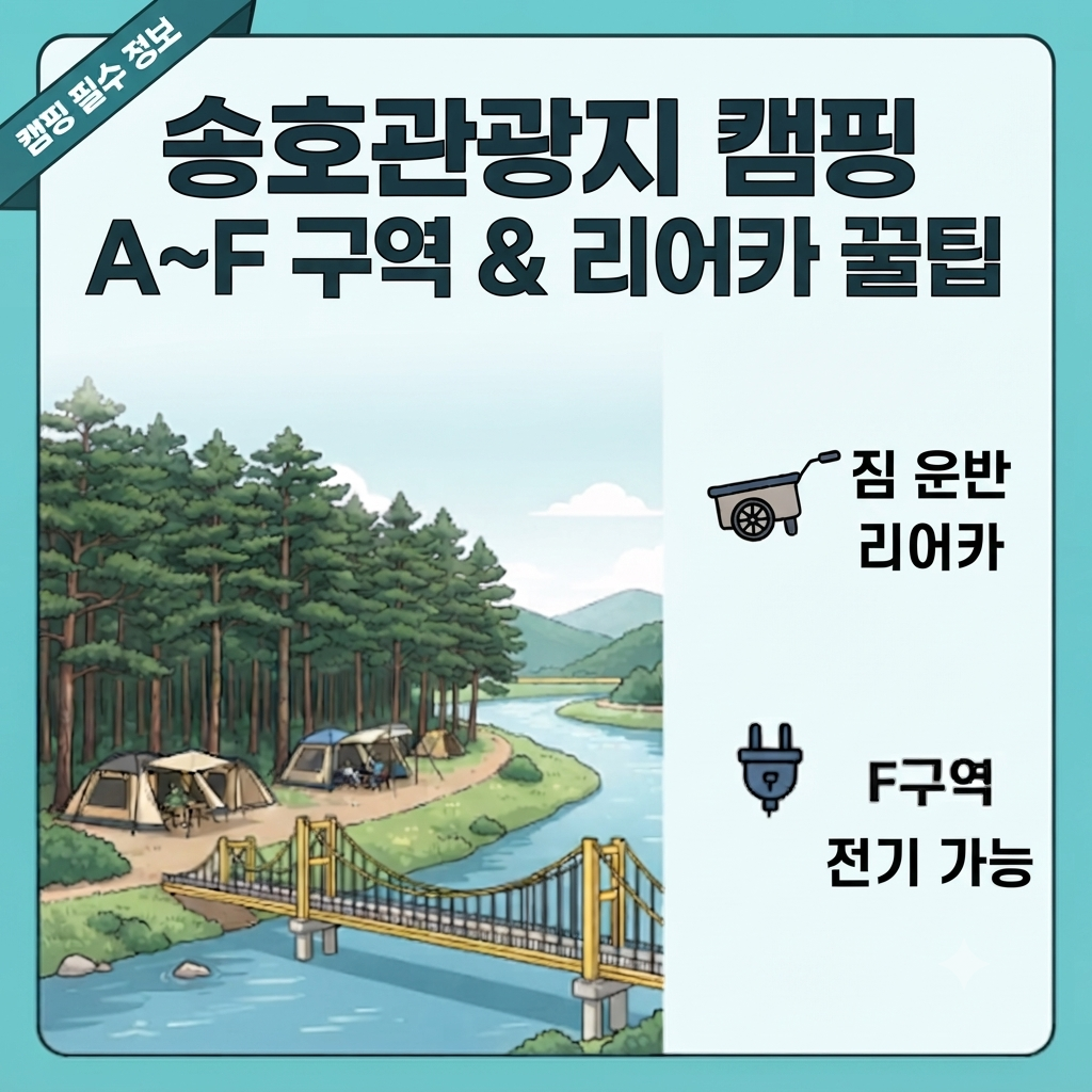 송호관광지 캠핑장 구역별 꿀팁 예약 총정리