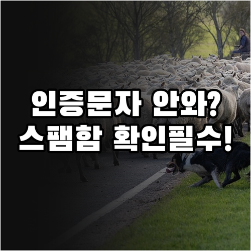 카카오뱅크 문자 인증 안될 때 스팸 ..