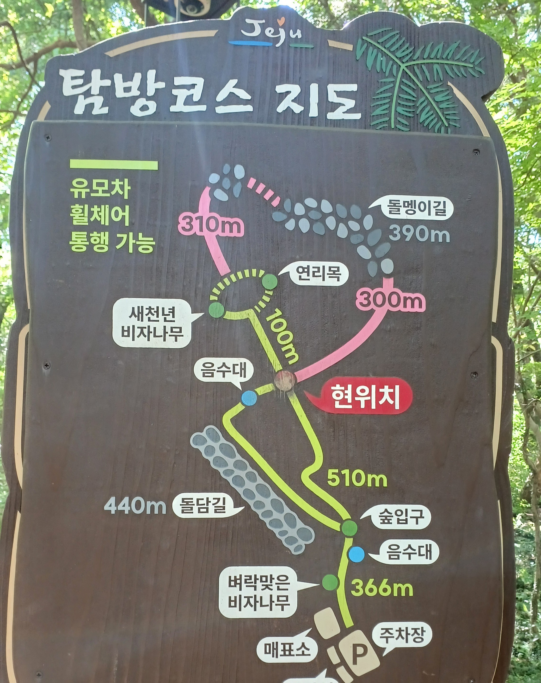 제주-비자림-소요시간