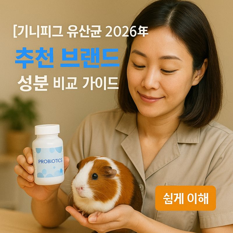 기니피그 유산균 2026년 ｜ 추천 브랜드&middot;성분 비교 가이드