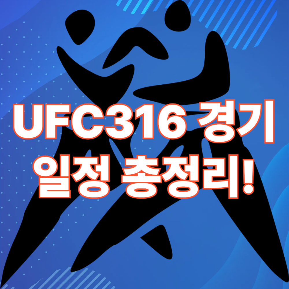 UFC316 경기일정