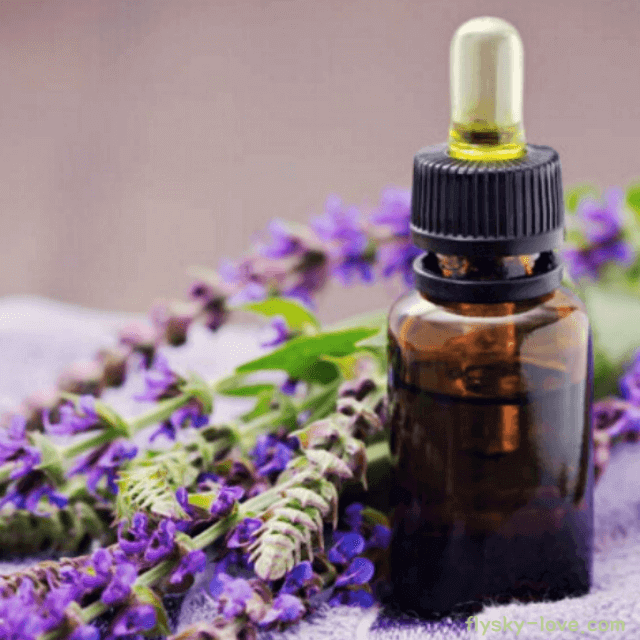클라리세이지 (Clary Sage), 클라리세이지 오일