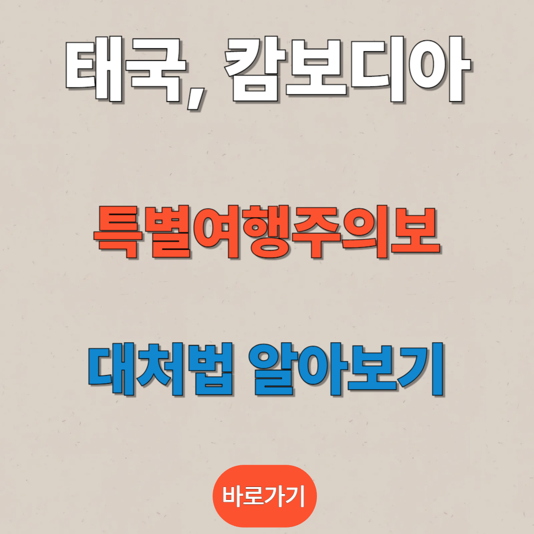 해외여행안전 사이트 확인하러 가기