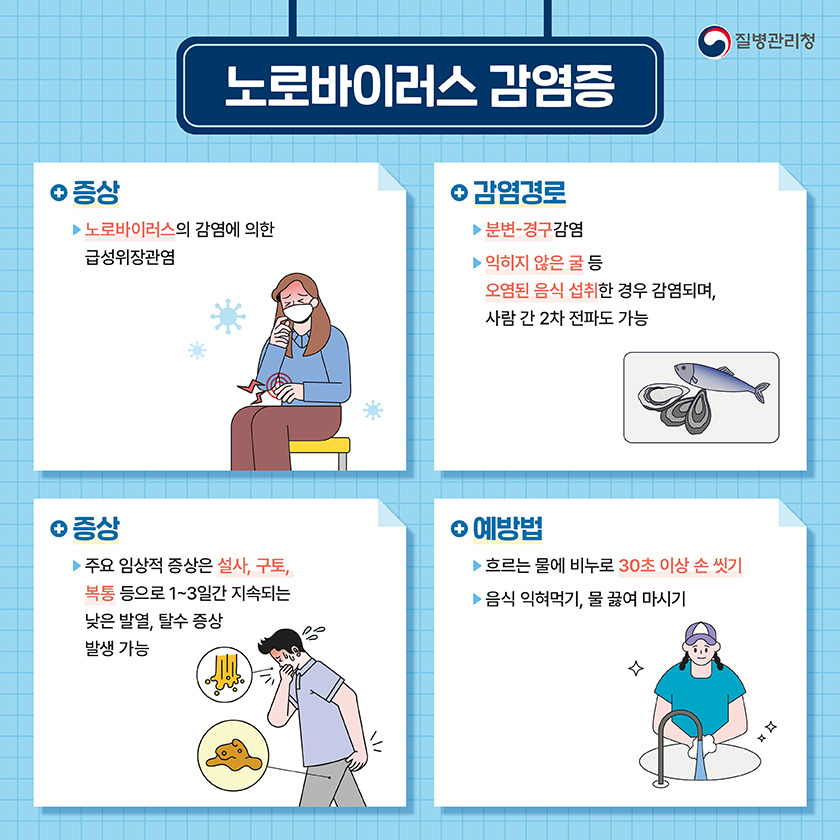 노로바이러스치료방법이미지