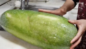 동아 재배 덩굴 손질 지주 설치 수분 관리_11