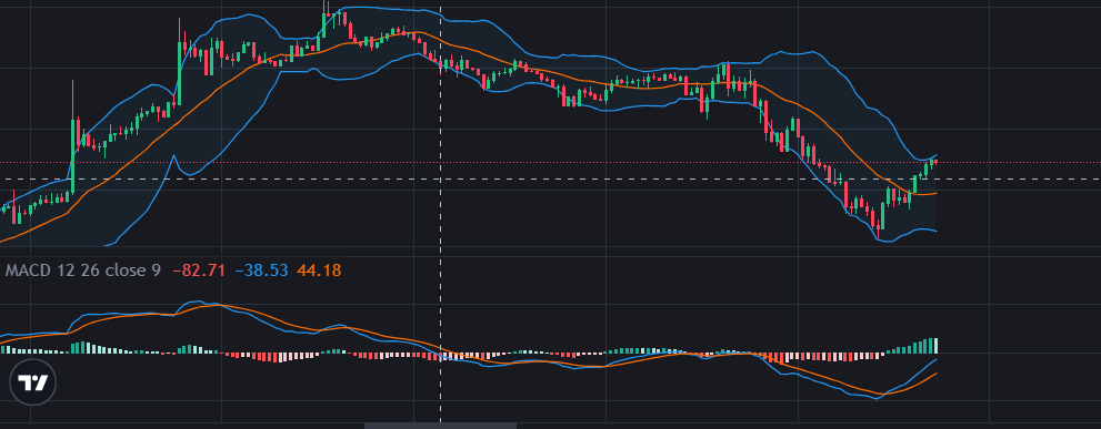 블린져 밴드와 함께 MACD
