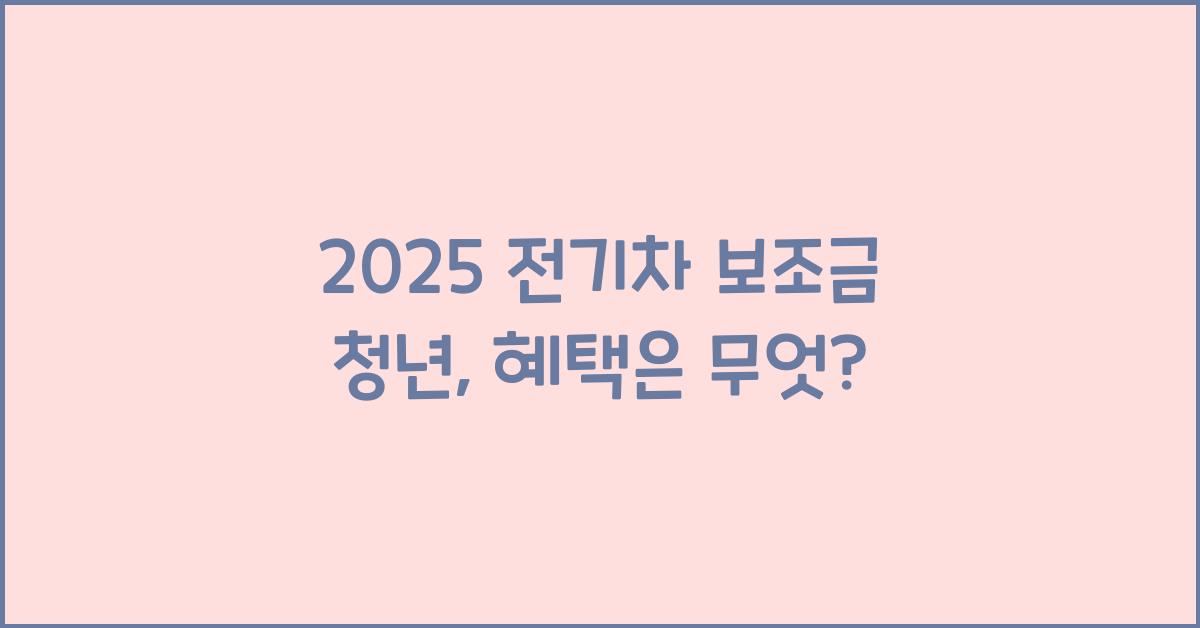 2025 전기차 보조금 청년