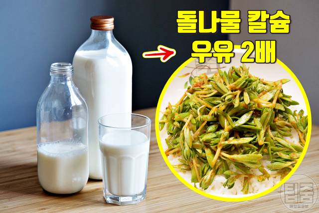 돌나물 효능,돌나물 무침 맛있게 만드는 법