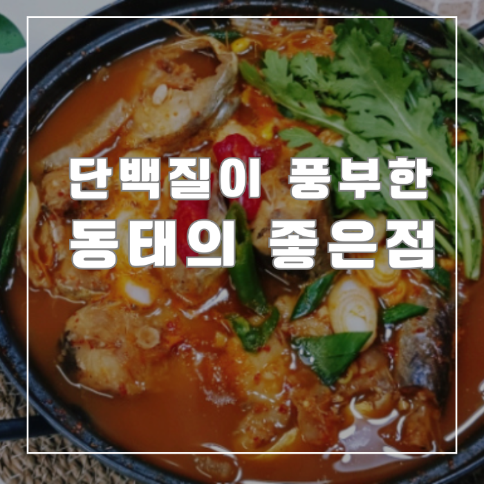 동태의 좋은점
