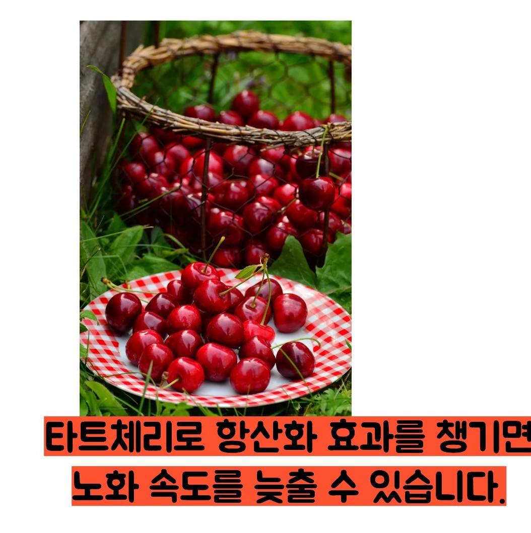 타트체리 효능