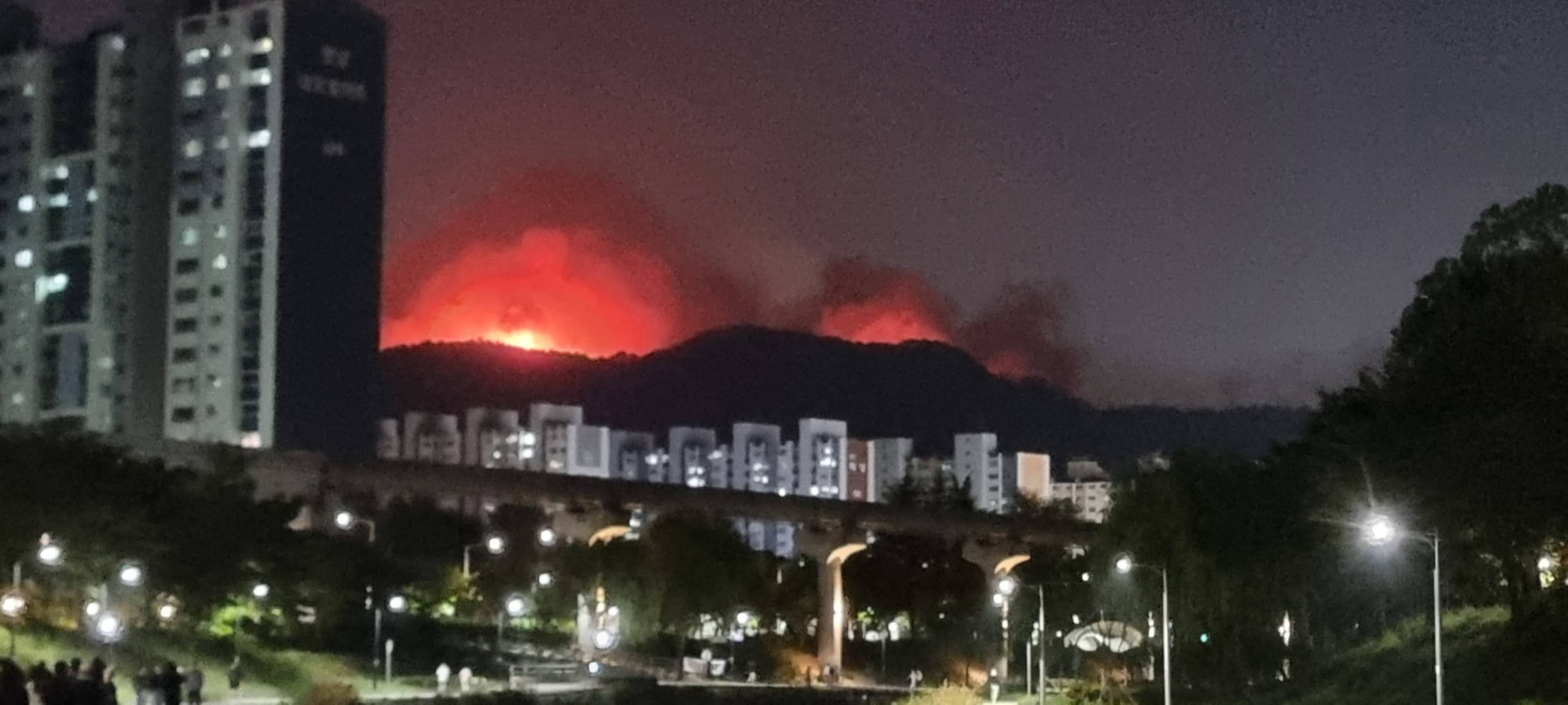대구 함지산 산불 확산으로 주민 대피 및 피해 확산