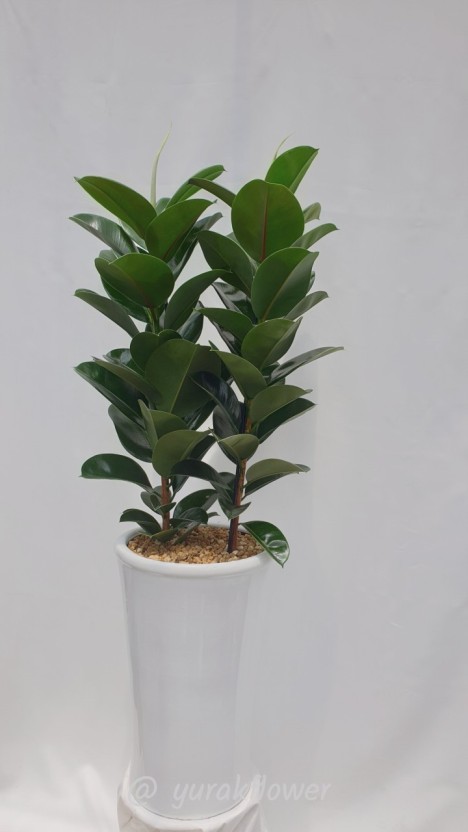 개업 축하 문구