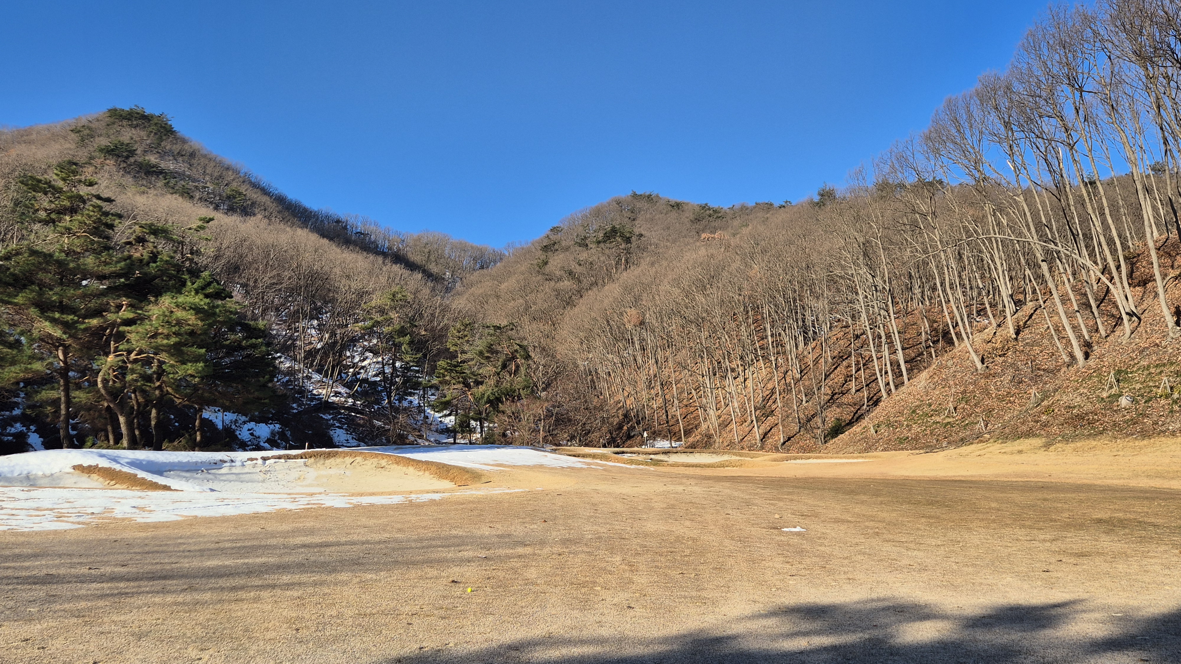 오크밸리cc 메이플 코스 사진 및 공략 정보