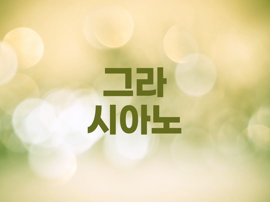 그라시아노 천주교 남자세례명