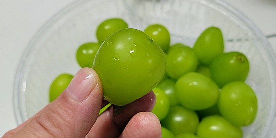 건강하게 살찌기