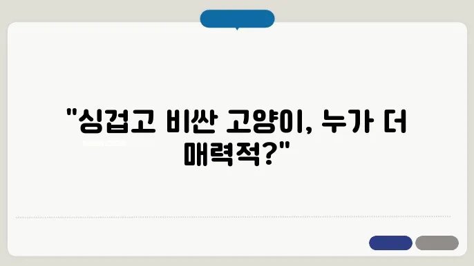 가장 싼 고양이 vs 가장 비싼 고양이, 가격과 특징 비교로 고양이 선택하기