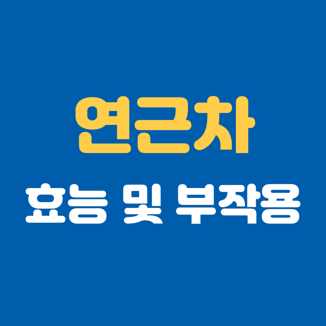 연근차 효능