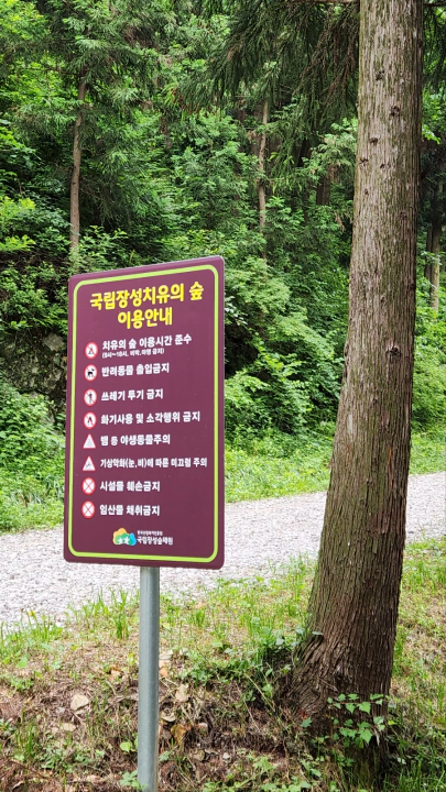 편백나무 성지&#44; 장성 치유의숲 오르는 길&#44; 이용 안내