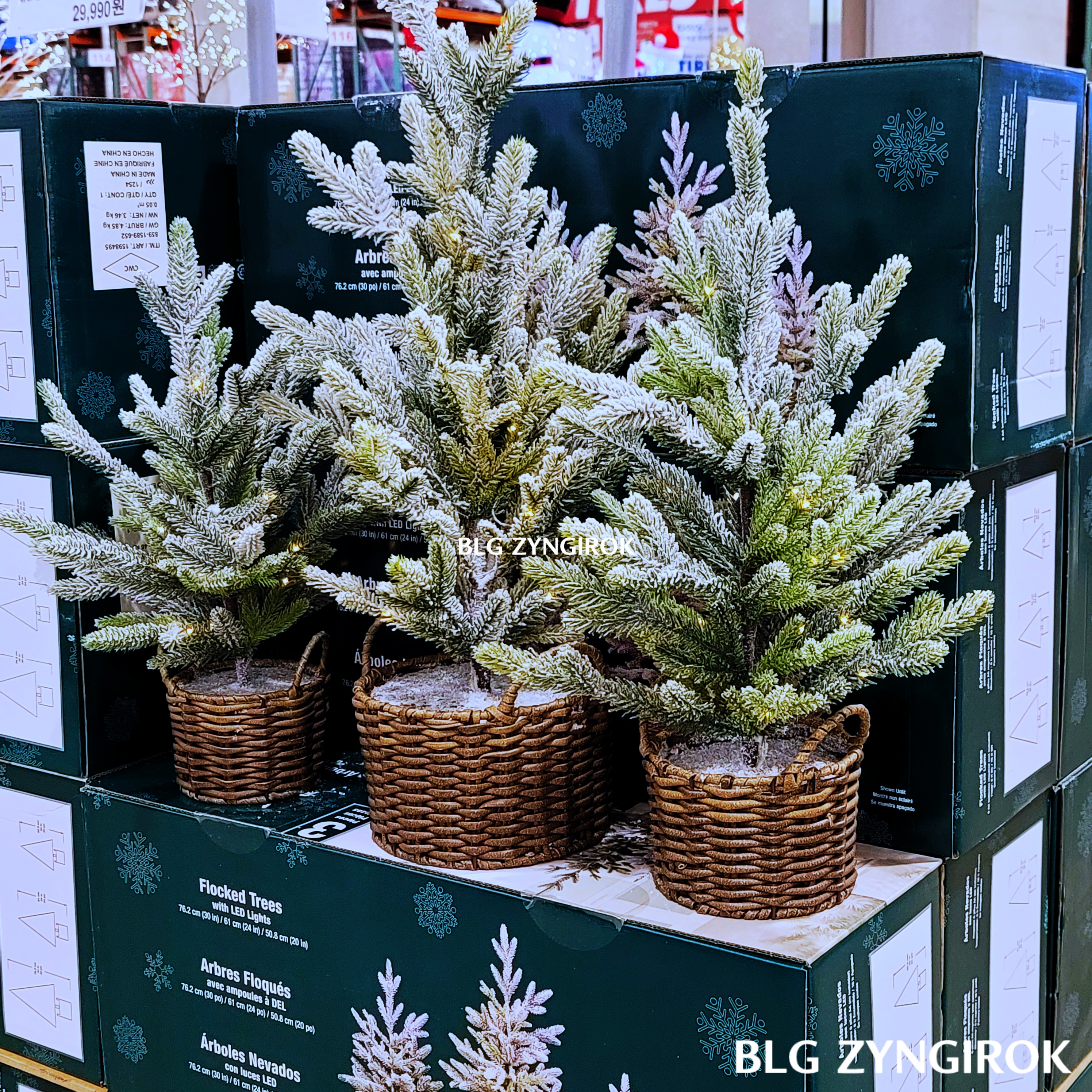 크리스마스-장식-LED-3개-모습이다.