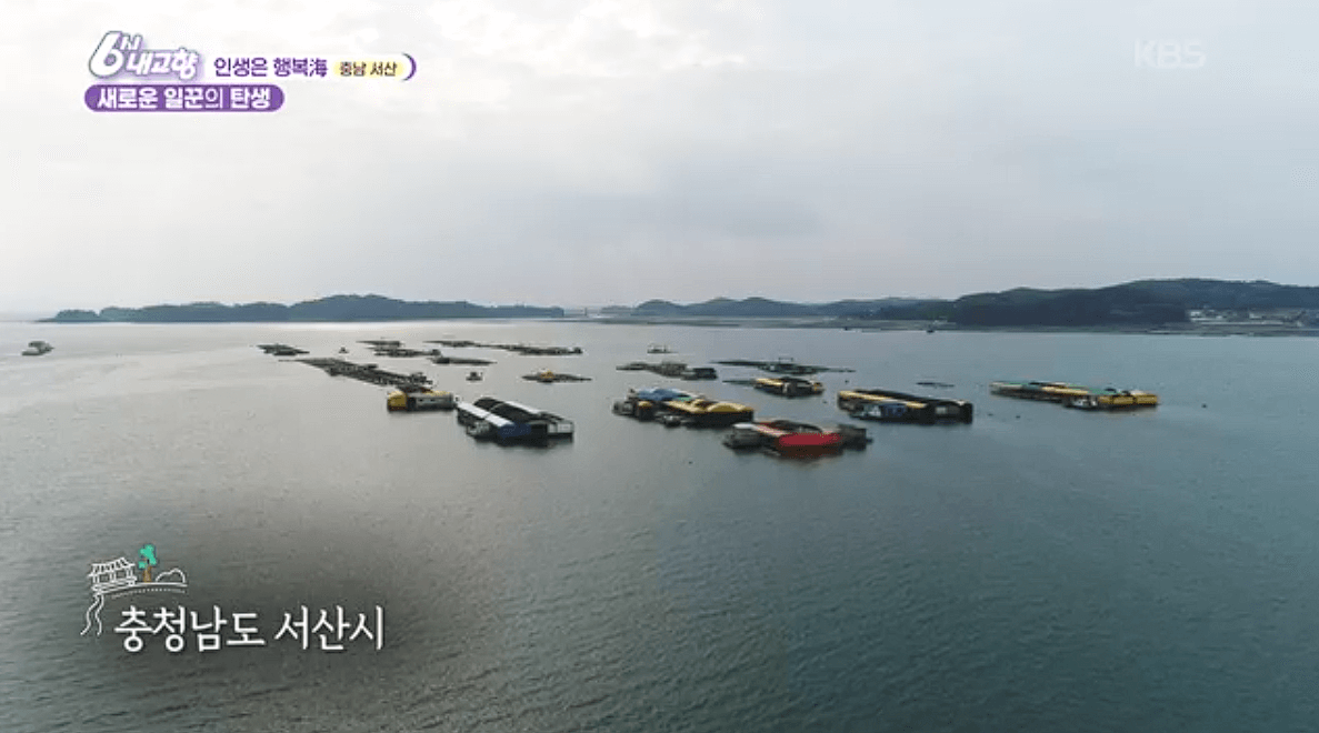 [6시내고향]충남 서산 해상 좌대낚시 고려호 창리해상펜션 바지락 해뜨는천수만 예약 연락처 위치 정보를 자세히 알려주는 이미지입니다.