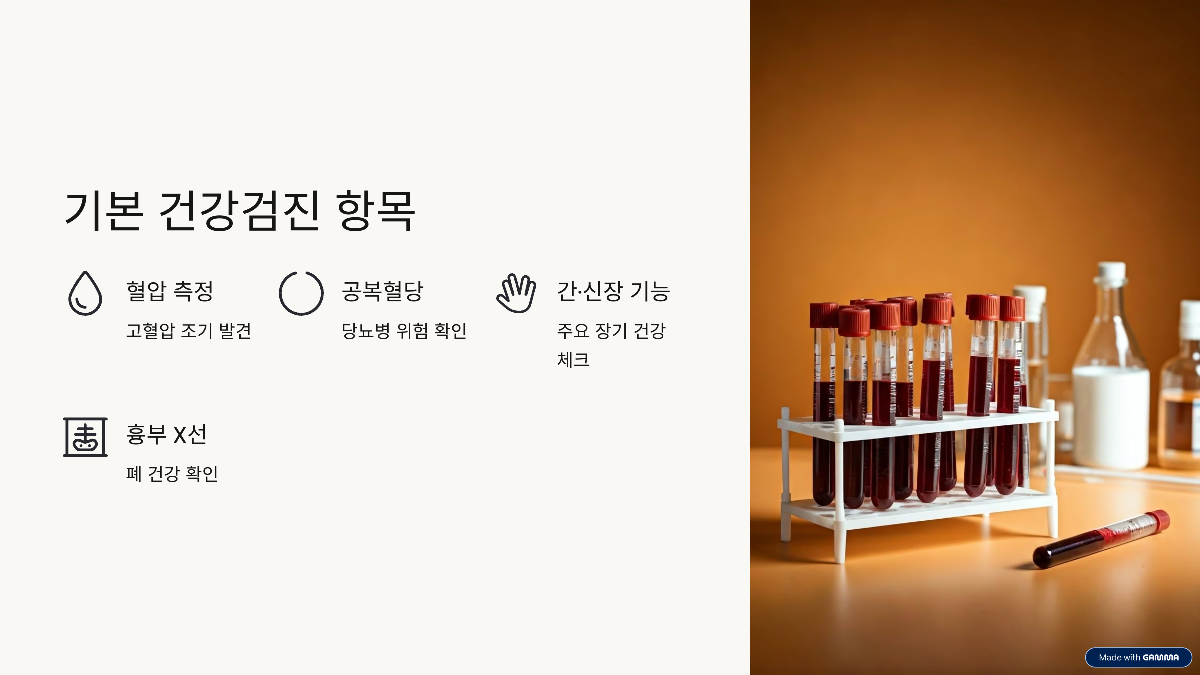 기본 건강검진 항목