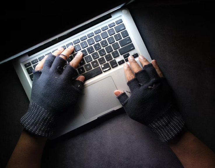 털린 내 정보 찾기 서비스 후기