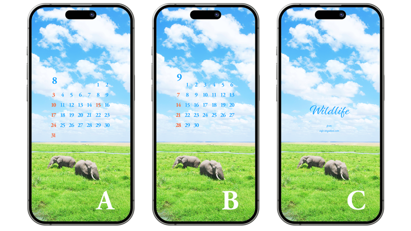 06 초원 위의 코끼리 두 마리 ABC - 2025년8월 아이폰배경화면