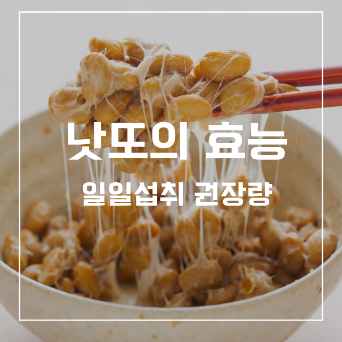 낫또의 효능
