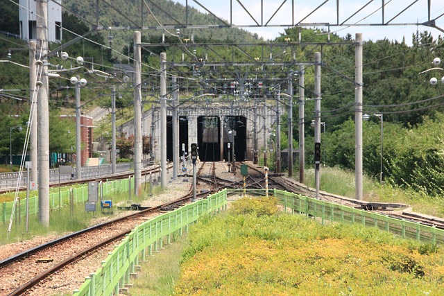 대한민국 서울 대전 기찻길