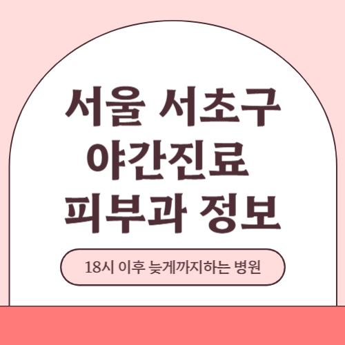 서울 서초구 야간진료 피부과 병원 (18시 이후 늦게까지하는 병원)