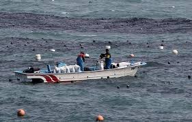 제11회 기장미역다시마 축제 기본일정과 특징 소개