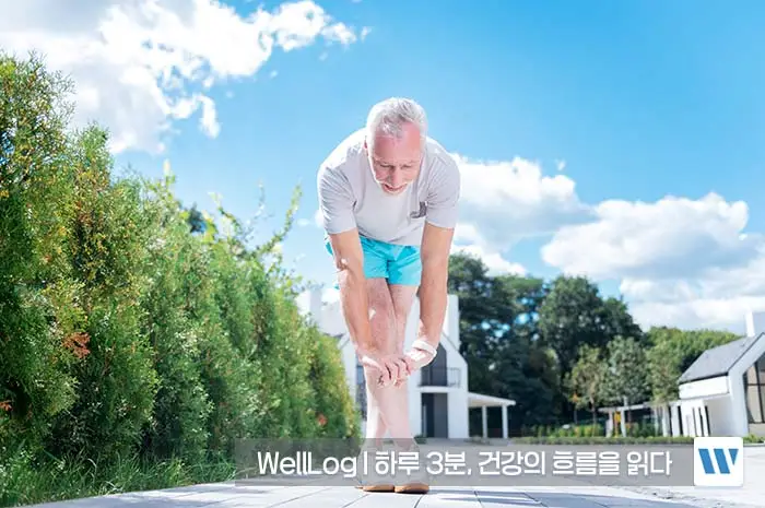 난각막가수분해물 효능, 복용법