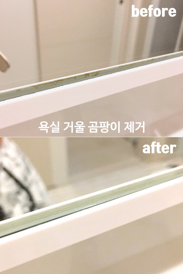 욕실 거울 곰팡이 제거법,팁줌