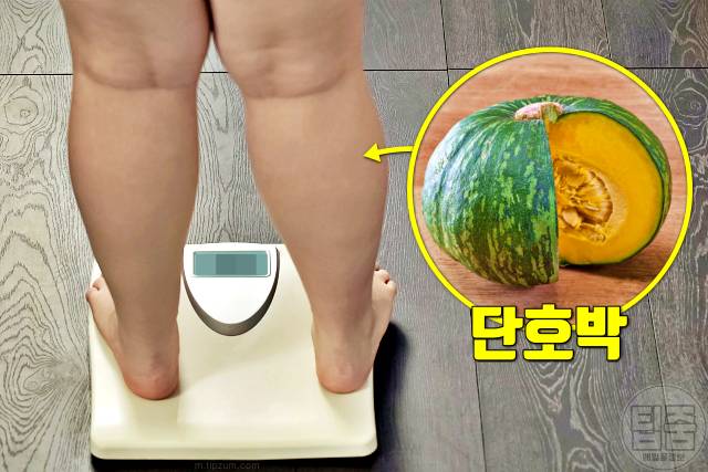 종아리 알빼는법 종아리 알빼기 음식 단호박