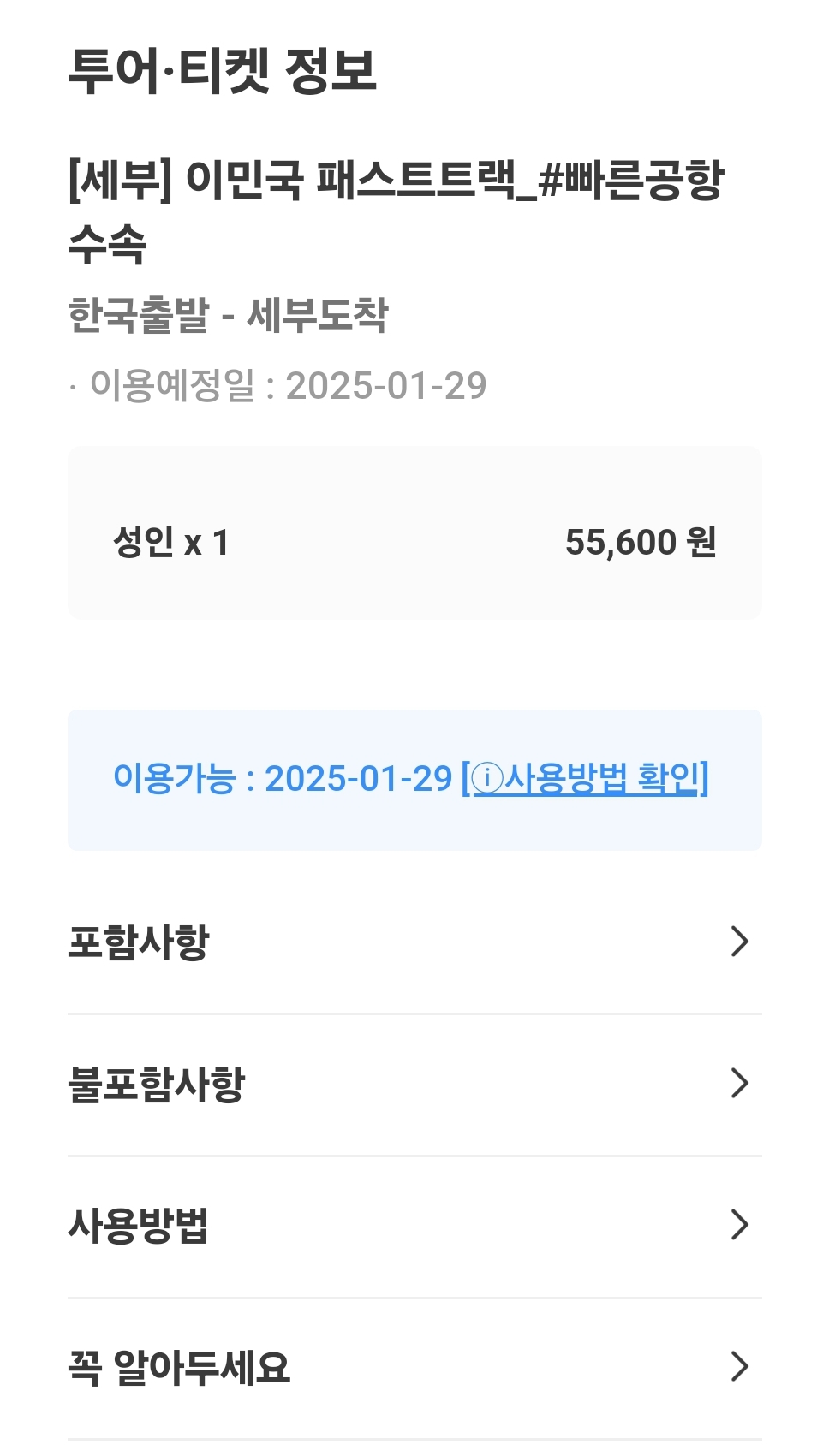 세부 막탄 공항 패스트트랙