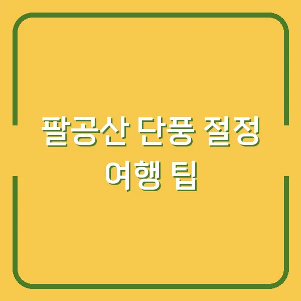 팔공산 단풍 절정 여행 팁