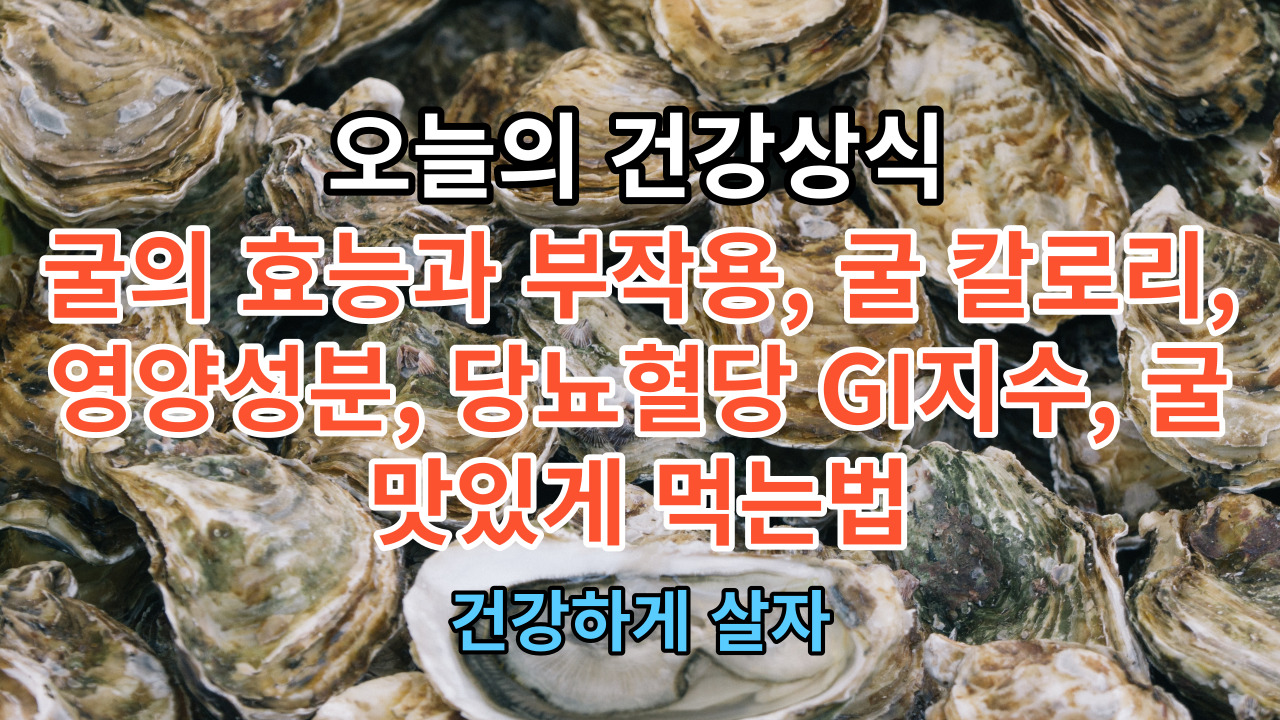 굴의 효능과 부작용, 굴 칼로리, 영양성분, 당뇨혈당 GI지수, 굴 맛있게 먹는법