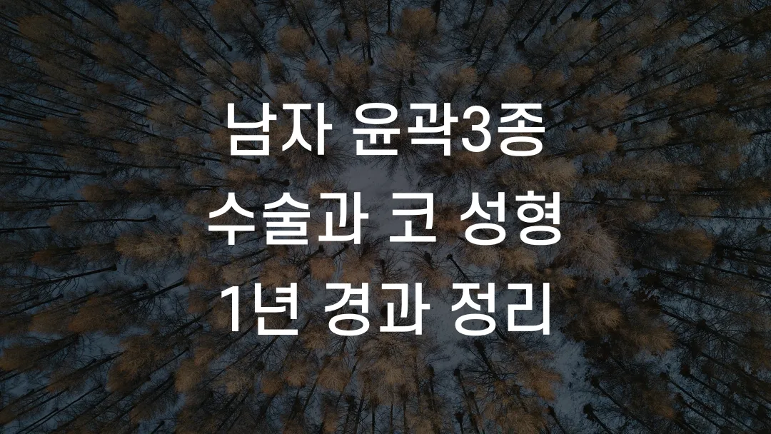 남자 윤곽3종 수술과 코 성형 1년 경과 정리