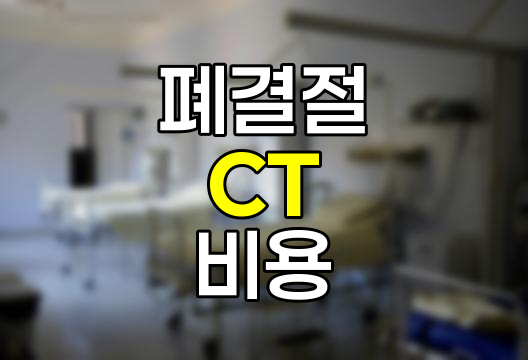 대학병원 폐결절 CT검사 비용 후기