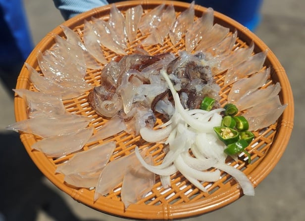 속초 오징어난전 이용