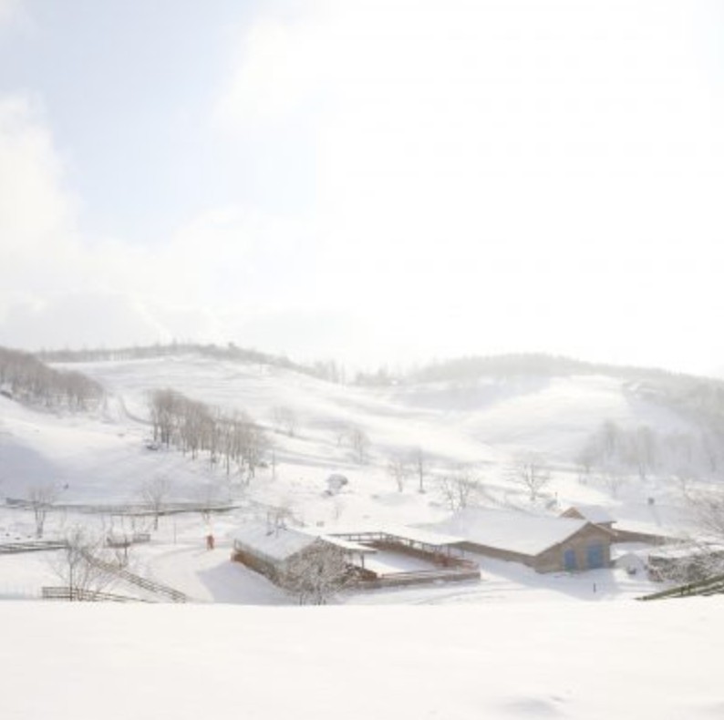 대관령양떼목장사진