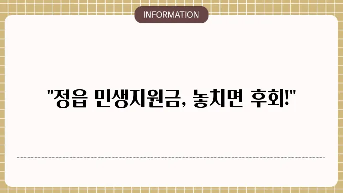 정읍 민생지원금: 지역 지원금 정보