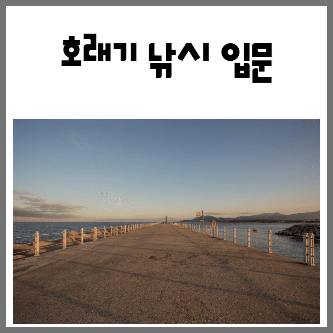 호래기낚시-방파제