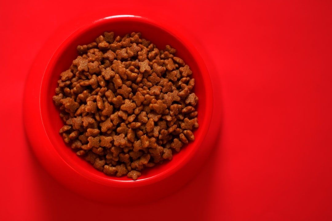 Dog food.