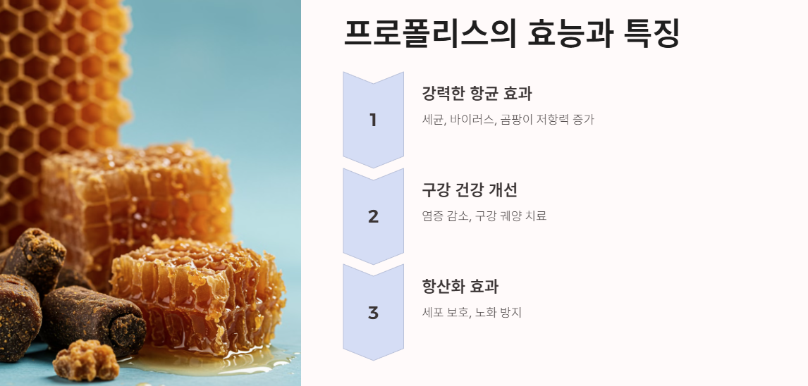 프로폴리스 효능과 특징