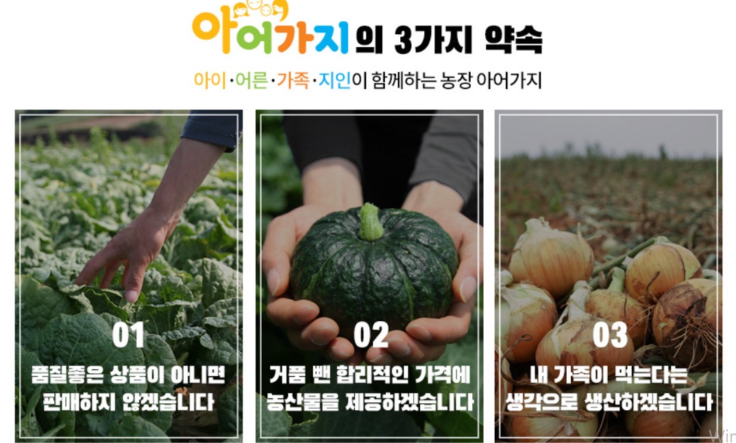 EBS-극한직업-전북-고창-블랙망고수박