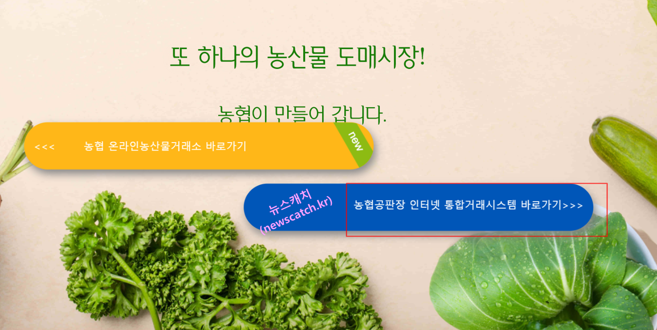 농협공판장 시세 조회